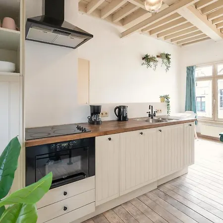 Tempel Triplex & Duplex At Historic Heart Of Apartment *
