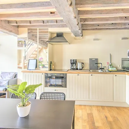 Tempel Triplex & Duplex At Historic Heart Of