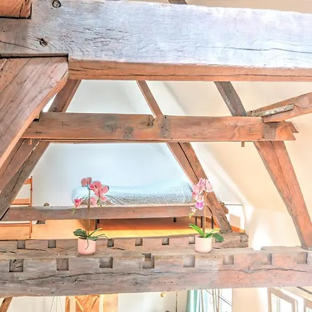 Tempel Triplex & Duplex At Historic Heart Of Antwerp
